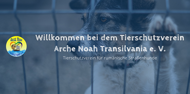Arche Noah Transilvania